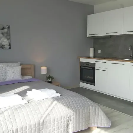 Magnolia Apartament Katowice